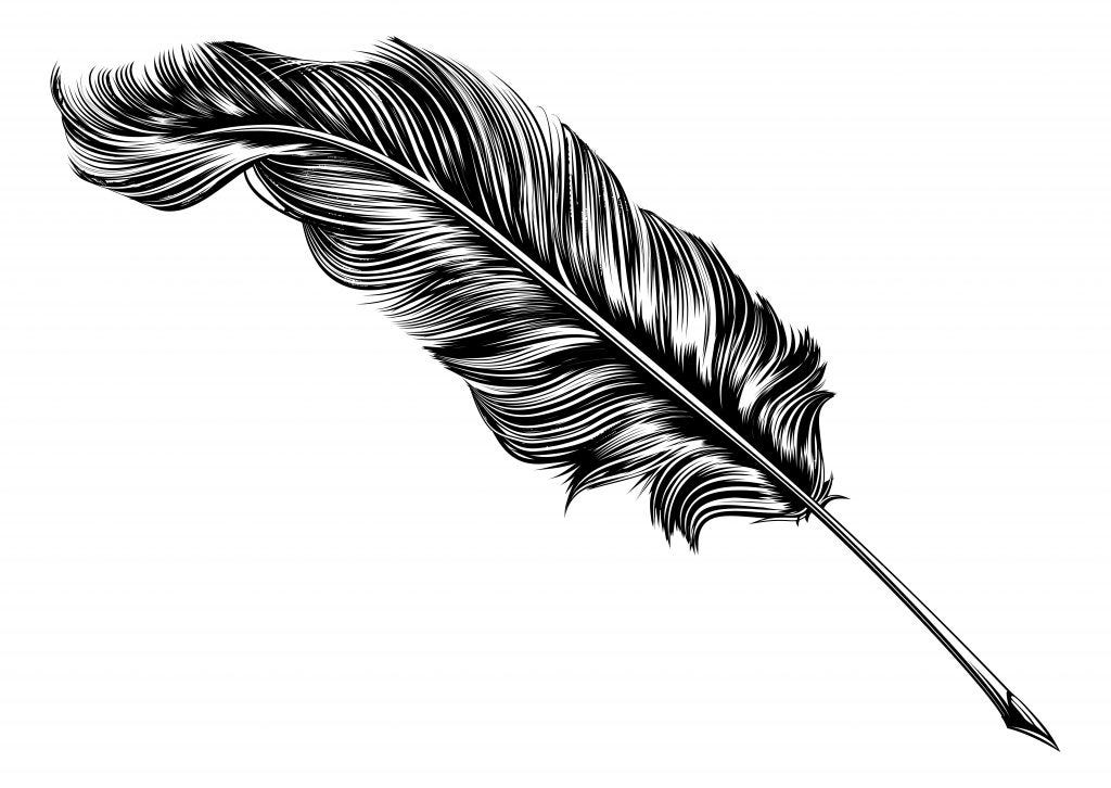 original-feather-quill-illustration